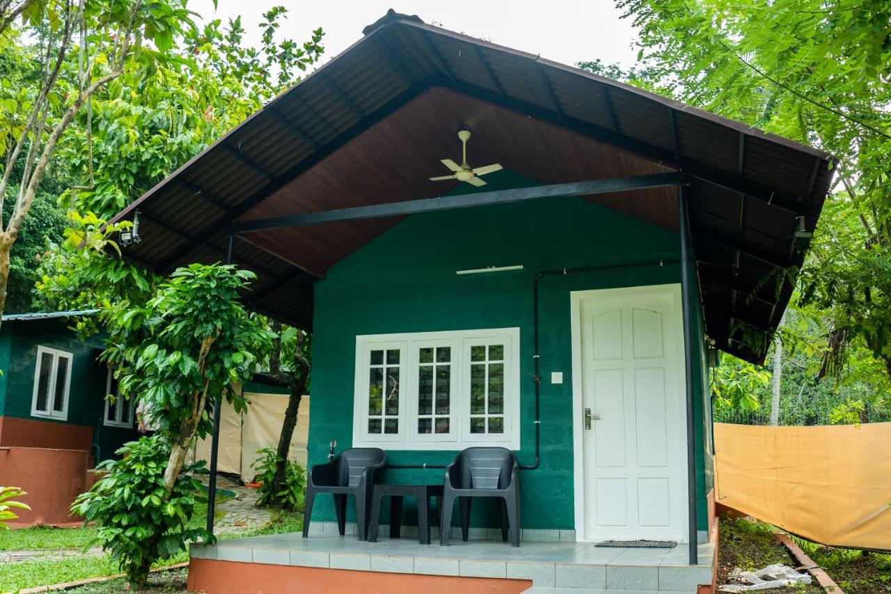 The Nest Thattekad Thattakād Exteriör bild
