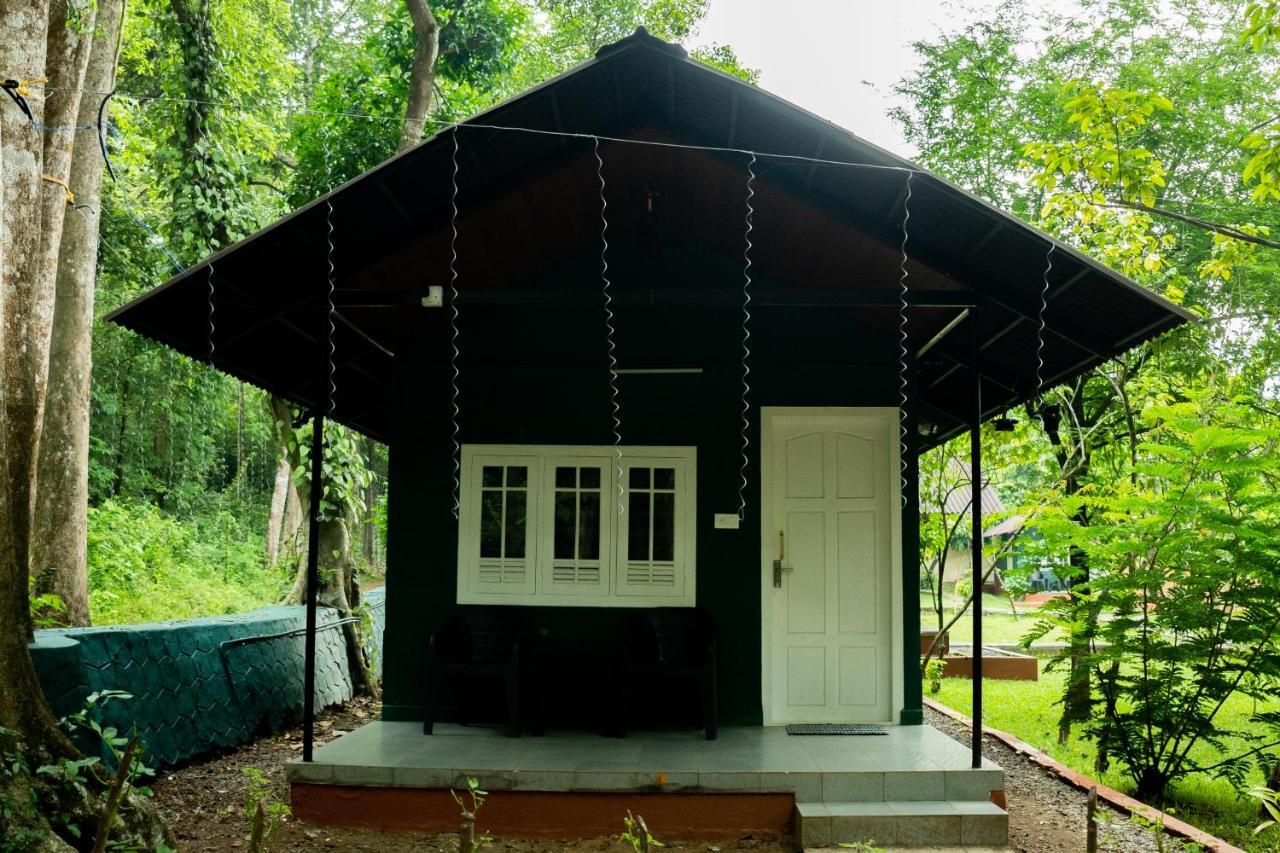 The Nest Thattekad Thattakād Exteriör bild